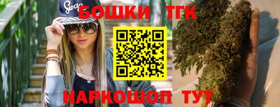 гашик Шебекино