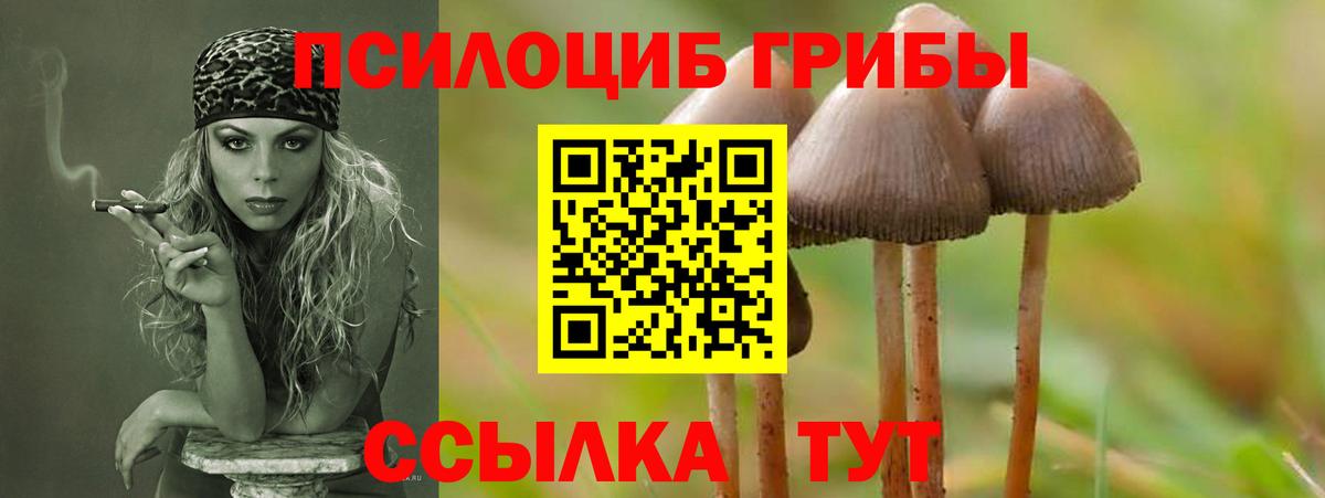 Псилоцибиновые грибы мухоморы  Галлюциногенные грибы MAGIC MUSHROOMS  где купить наркоту  Вход с VPN  Изобильный 